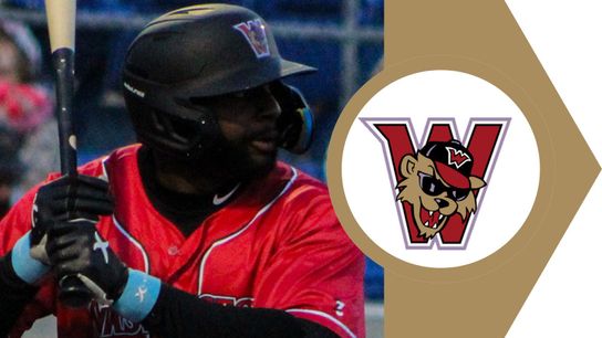 Homers power Boomers past Wild Things taken in Washington, Pa. (Wild Things)